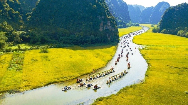 bang-gia-dat-tp-ninh-binh-times-pro