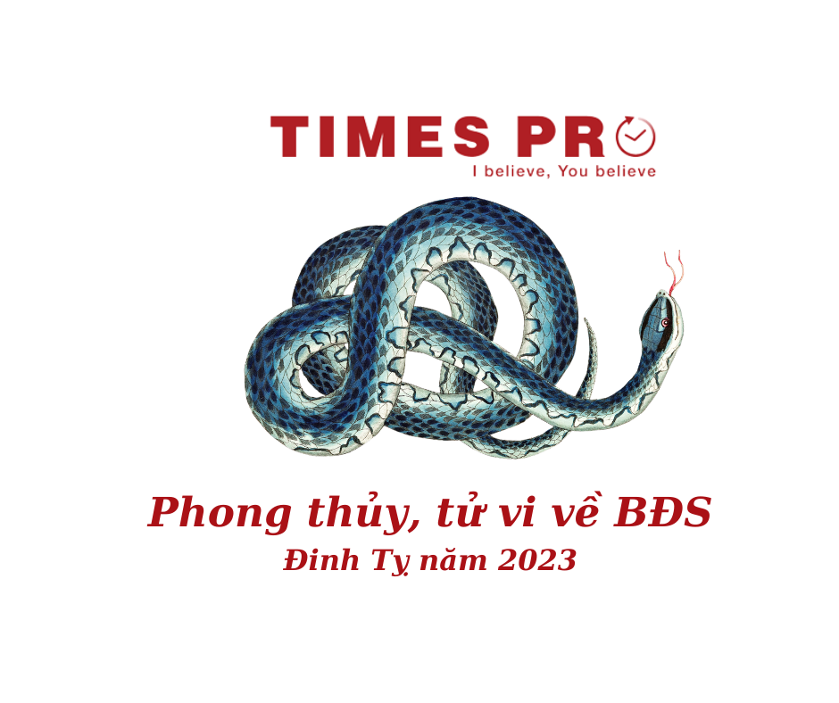 phong-thuy-mua-nha-dinh-ty-2023