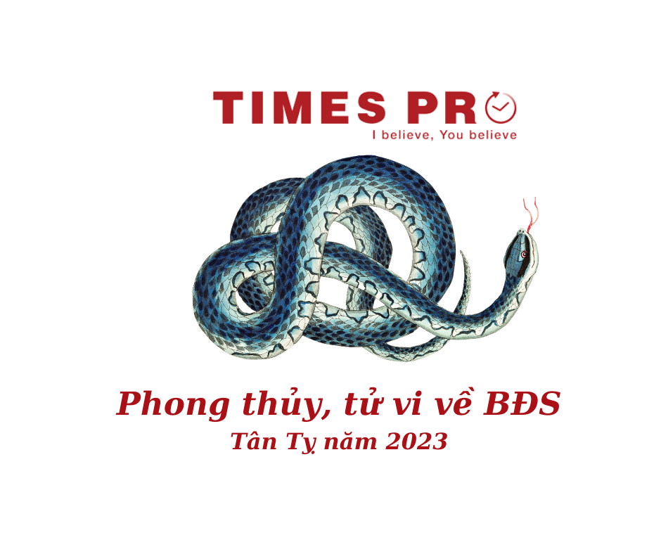 phong-thuy-mua-nha-tan-ty=2023