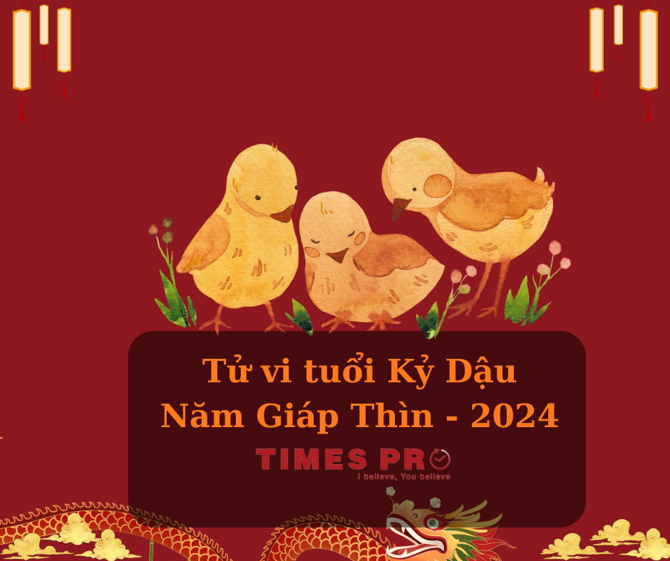 tuoi-ky-dau-mua-nha-dat-nam-giap-thin-2024