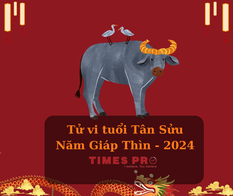 tuoi-tan-suu-mua-nha-dat-nam-giap-thin-2024