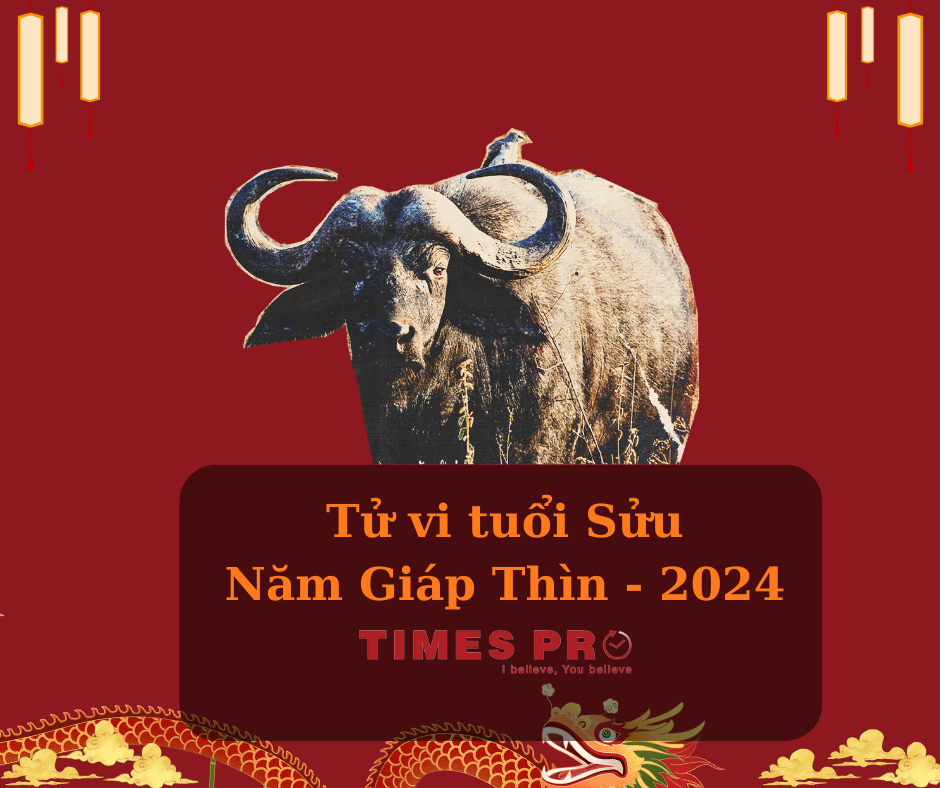 tuoi-suu-co-nen-dau-tu-bat-dong-san-mua-ban-xay-nha-nam-giap-thin-2024