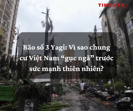 Bão số 3 Yagi: Vì Sao Chung Cư Việt Nam “Gục Ngã” Trước Sức Mạnh Thiên hiên?